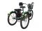 Электровелосипед трехколесный Horza Stels Trike Passenger 1000W 48V/15Ah